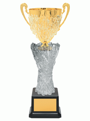 Кубок KBO 36