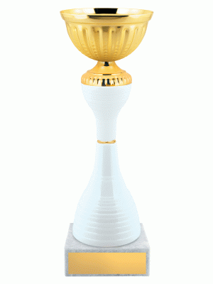 Кубок KBE 168