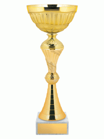 Кубок KBE 181
