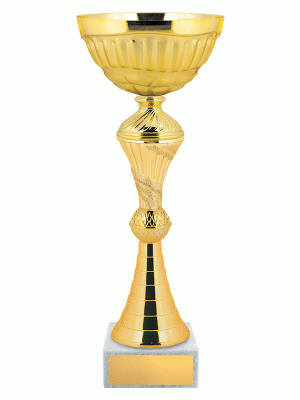 Кубок KBE 181
