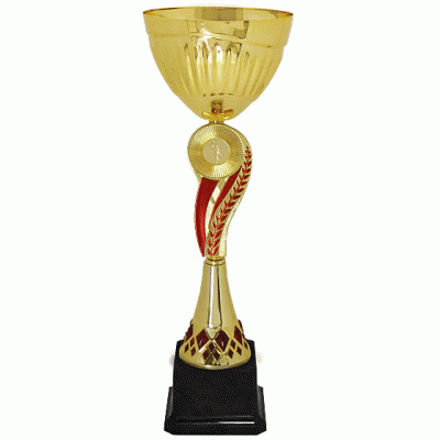 Кубок KBS 98