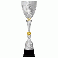 Кубок KBS 200