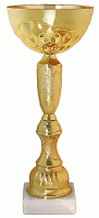 Кубок KBE 93