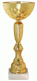 Кубок KBE 93