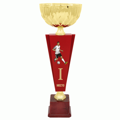 Кубок KBDM 22