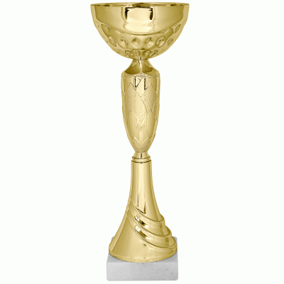 Кубок KBS 48