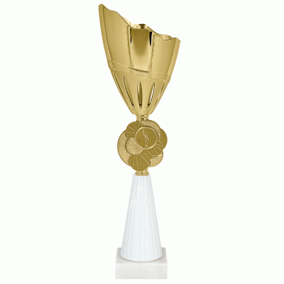 Кубок KBS 25