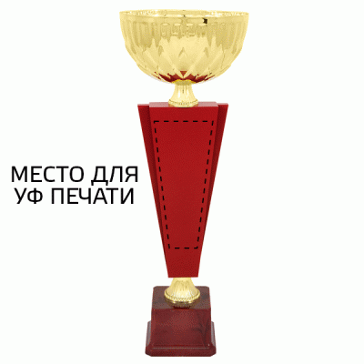 Кубок KBDM 39