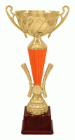 Кубок KBS 217