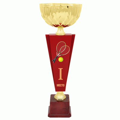 Кубок KBDM 19