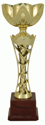 Кубок KBS 66
