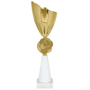 Кубок KBS 25
