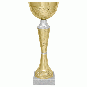 Кубок KBE 66