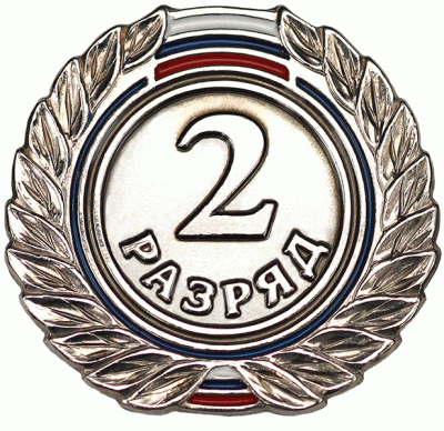 Значок 2 разряд ZNR 01