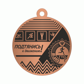 Медаль ГТО MDGTO 17