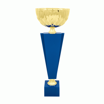 Кубок KBDM 38