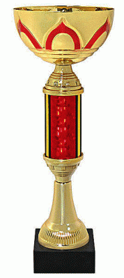 Кубок KBS 181