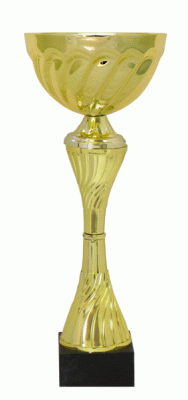 Кубок KBE 104
