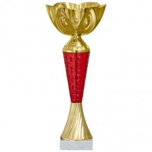 Кубок KBS 30