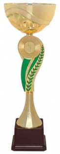 Кубок KBS 55