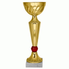Кубок KBE 80