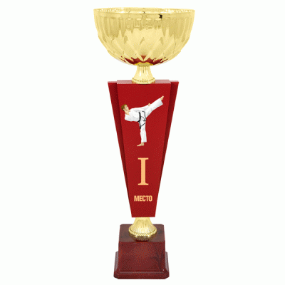 Кубок KBDM 17