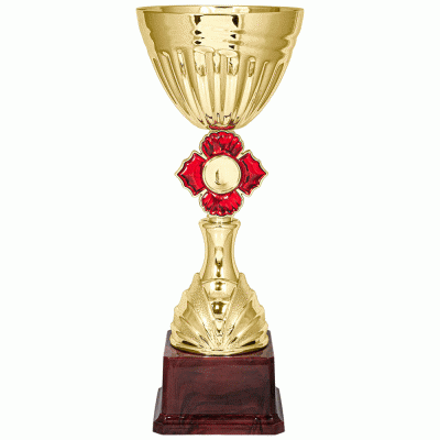 Кубок KBS 117