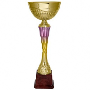 Кубок KBS 54