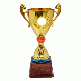Кубок KBE 19