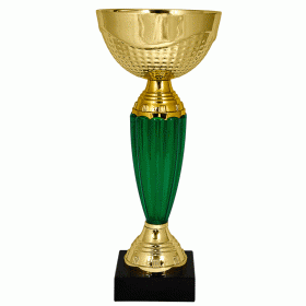 Кубок KBE 27