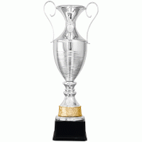 Кубок KBP 100