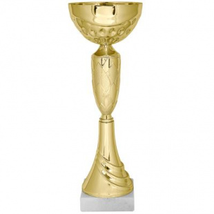Кубок KBS 48