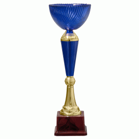 Кубок KBHS 03