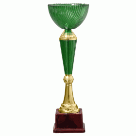 Кубок KBHS 02