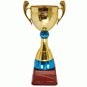 Кубок KBE 21