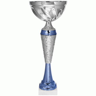 Кубок KBS 167