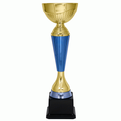Кубок KBS 166