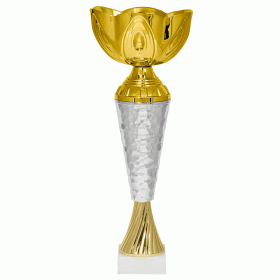 Кубок KBE 89