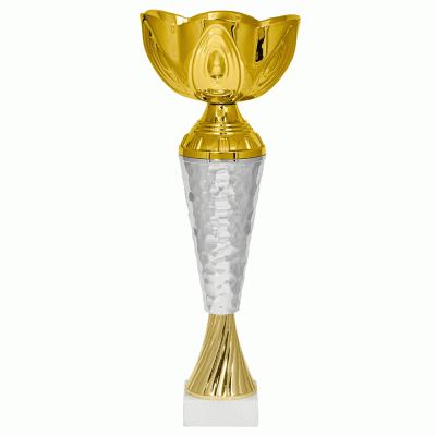 Кубок KBE 89