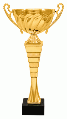Кубок KBS 06