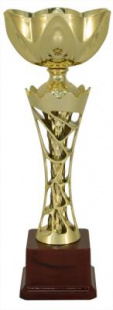 Кубок KBS 66