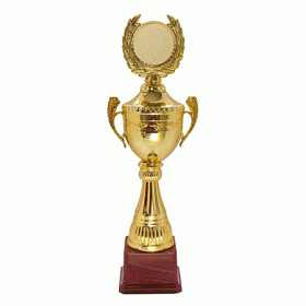 Кубок KBE 20