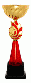 Кубок KBE 28