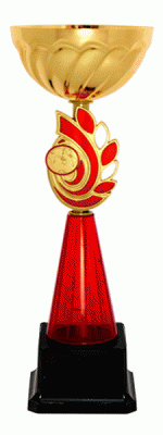 Кубок KBE 28