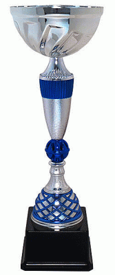 Кубок KBS 13