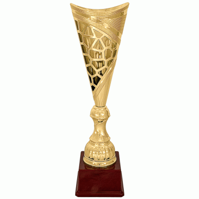Кубок KBS 83