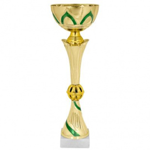Кубок KBS 53