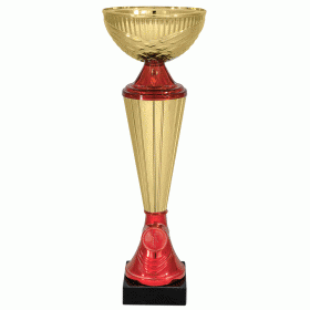 Кубок KBE 60