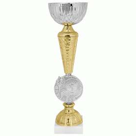 Кубок KBE 100