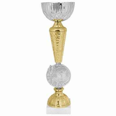 Кубок KBE 100